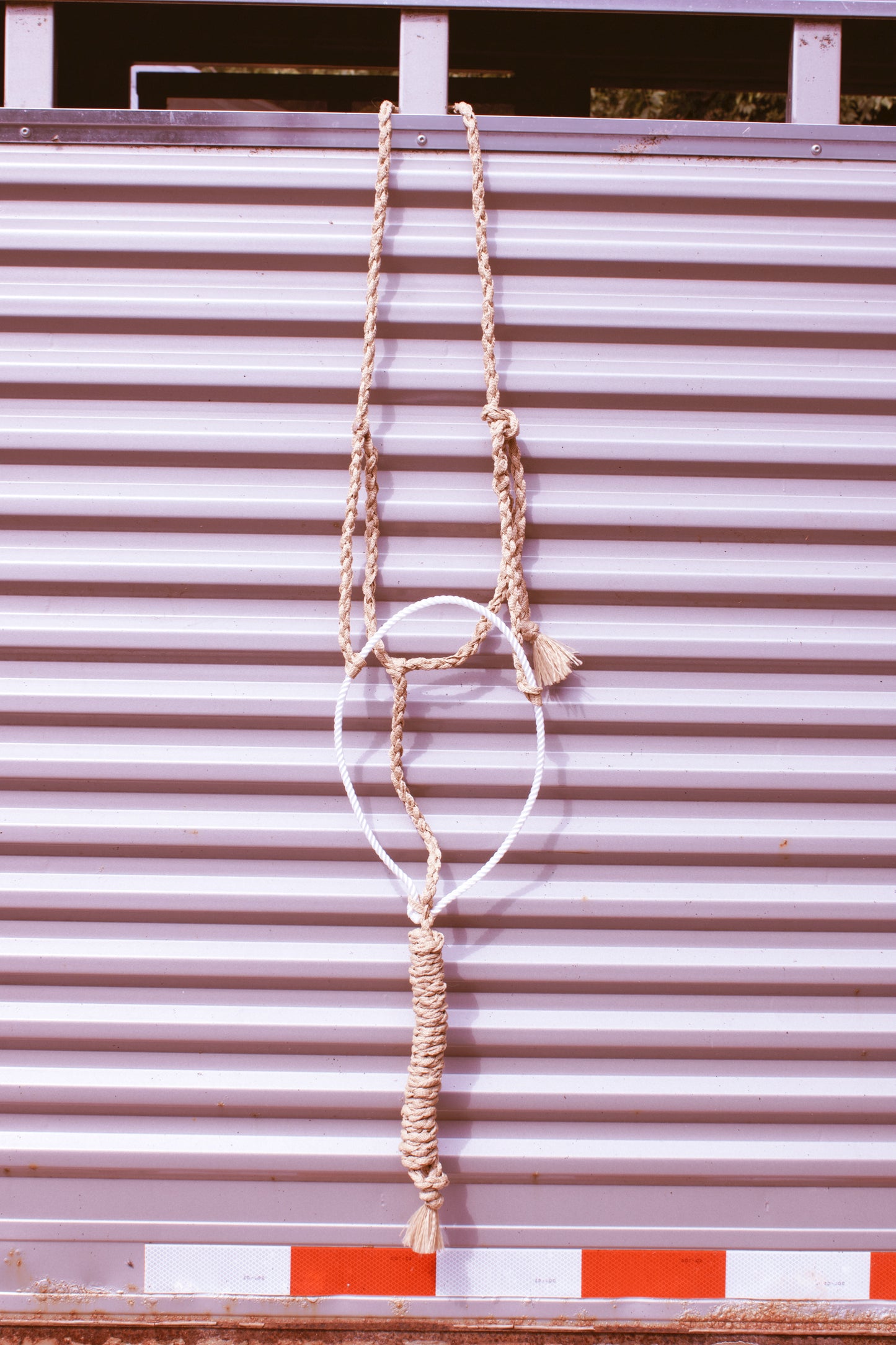 Lariat Noseband Halter with attached lead rope.