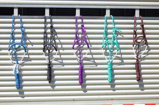 Braided Lariat Noseband Mule Tape Halter