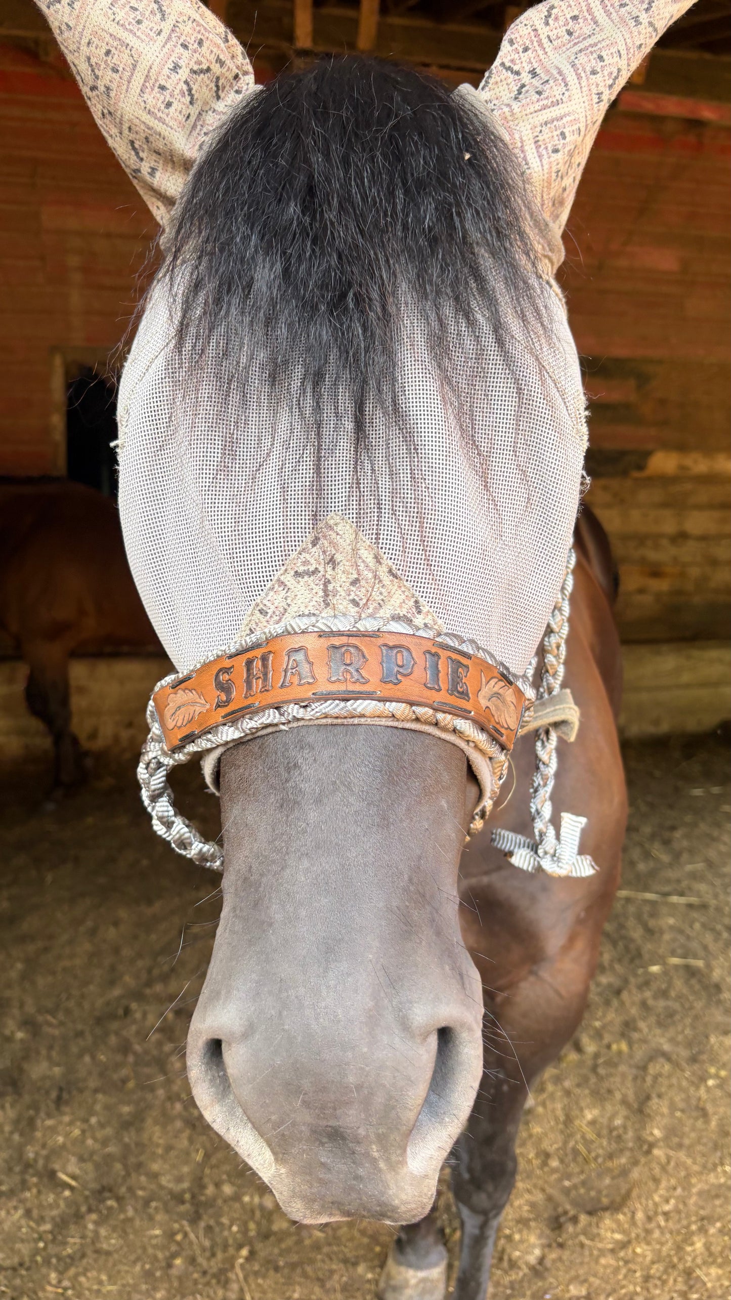 Custom mule tape with leather noseband