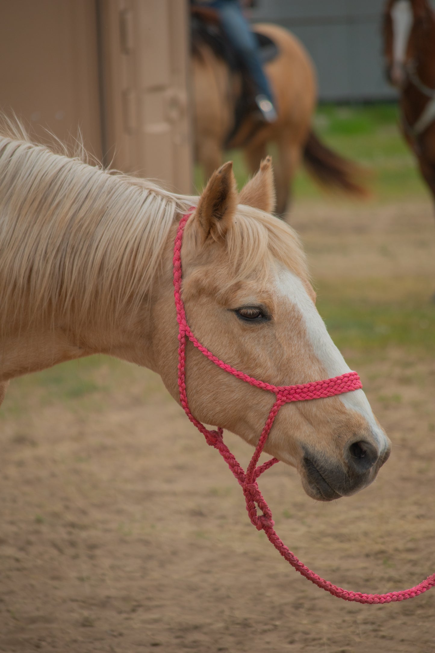 Plain Muletape With Leadrope (Solid Color)