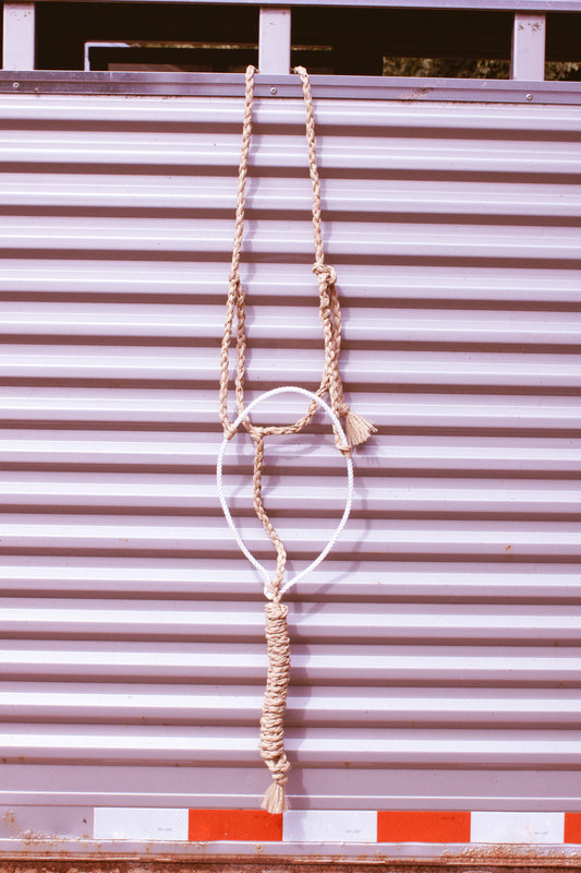 Lariat Noseband Halter with attached lead rope.