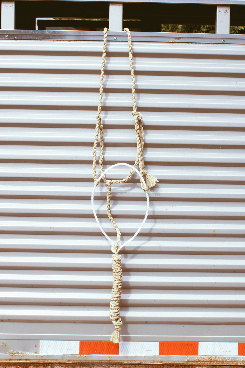 Lariat Noseband Halter with attached lead rope.