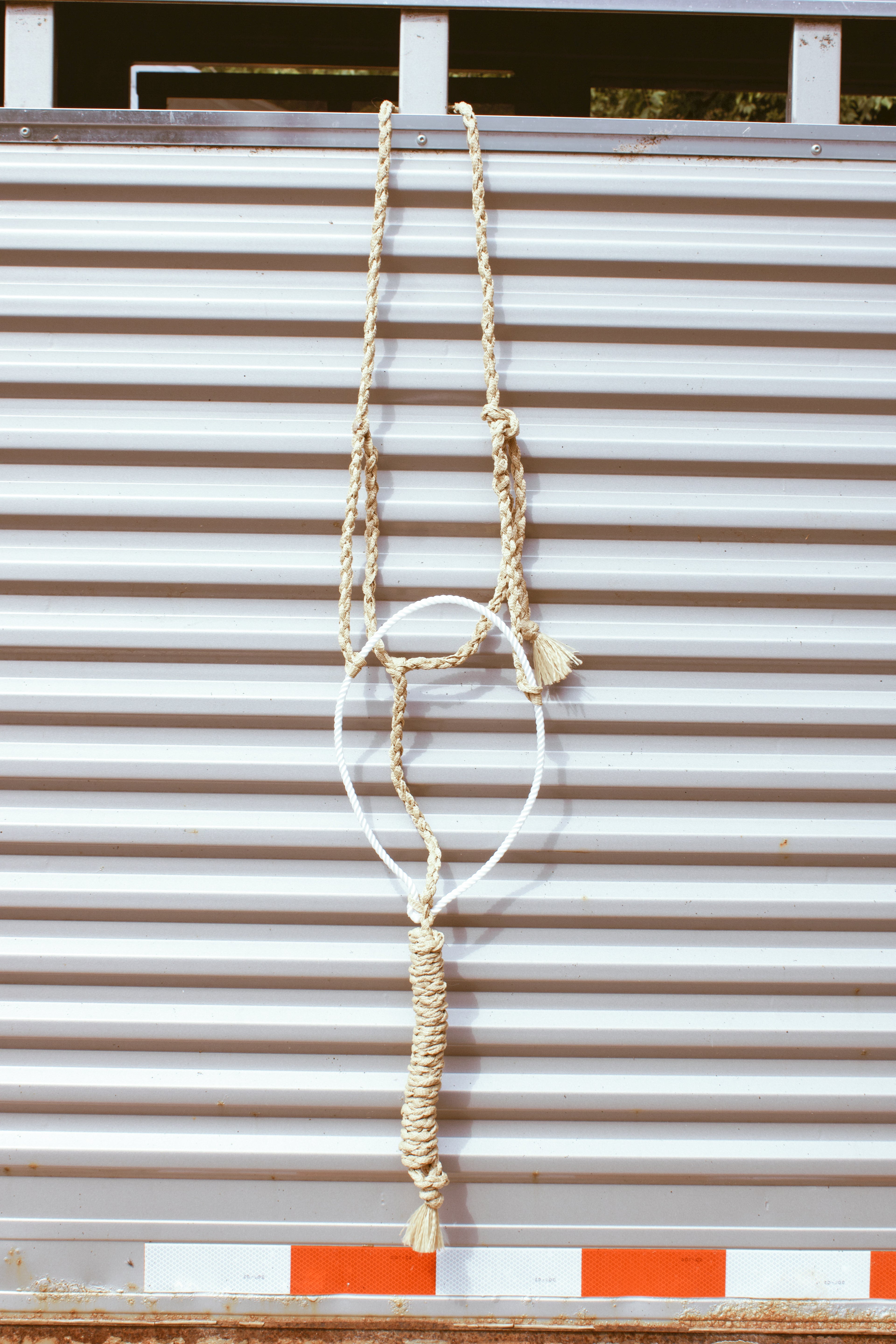 Lariat Noseband Halter with attached lead rope.