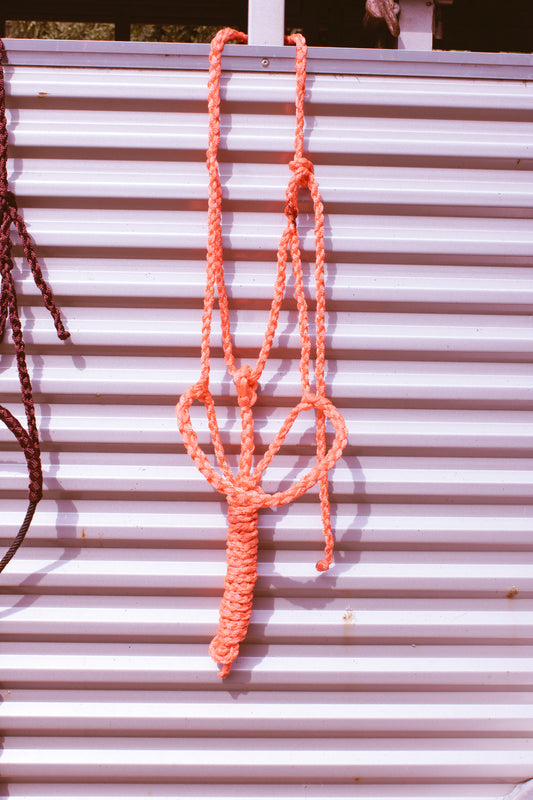 Plain Muletape With Leadrope (Solid Color)