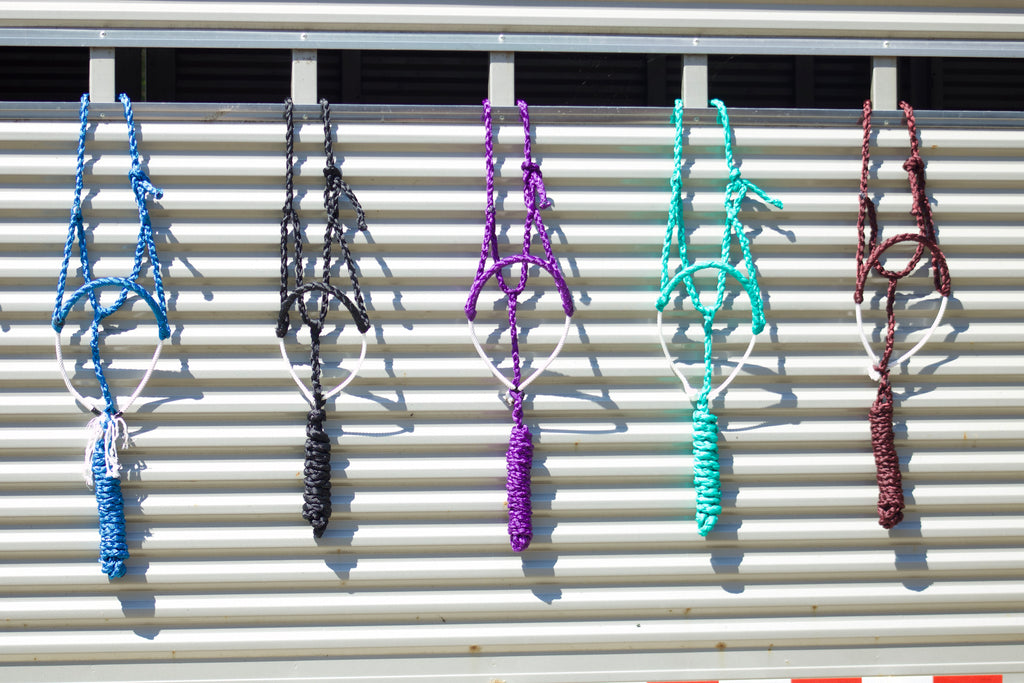 Braided Lariat Noseband Mule Tape Halter