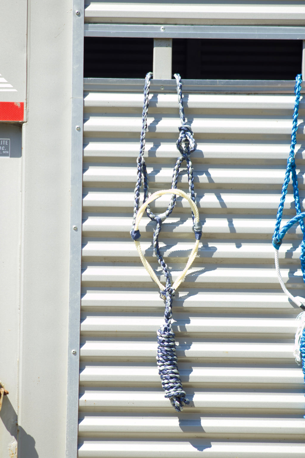 Twisted Lariat Nose band halter