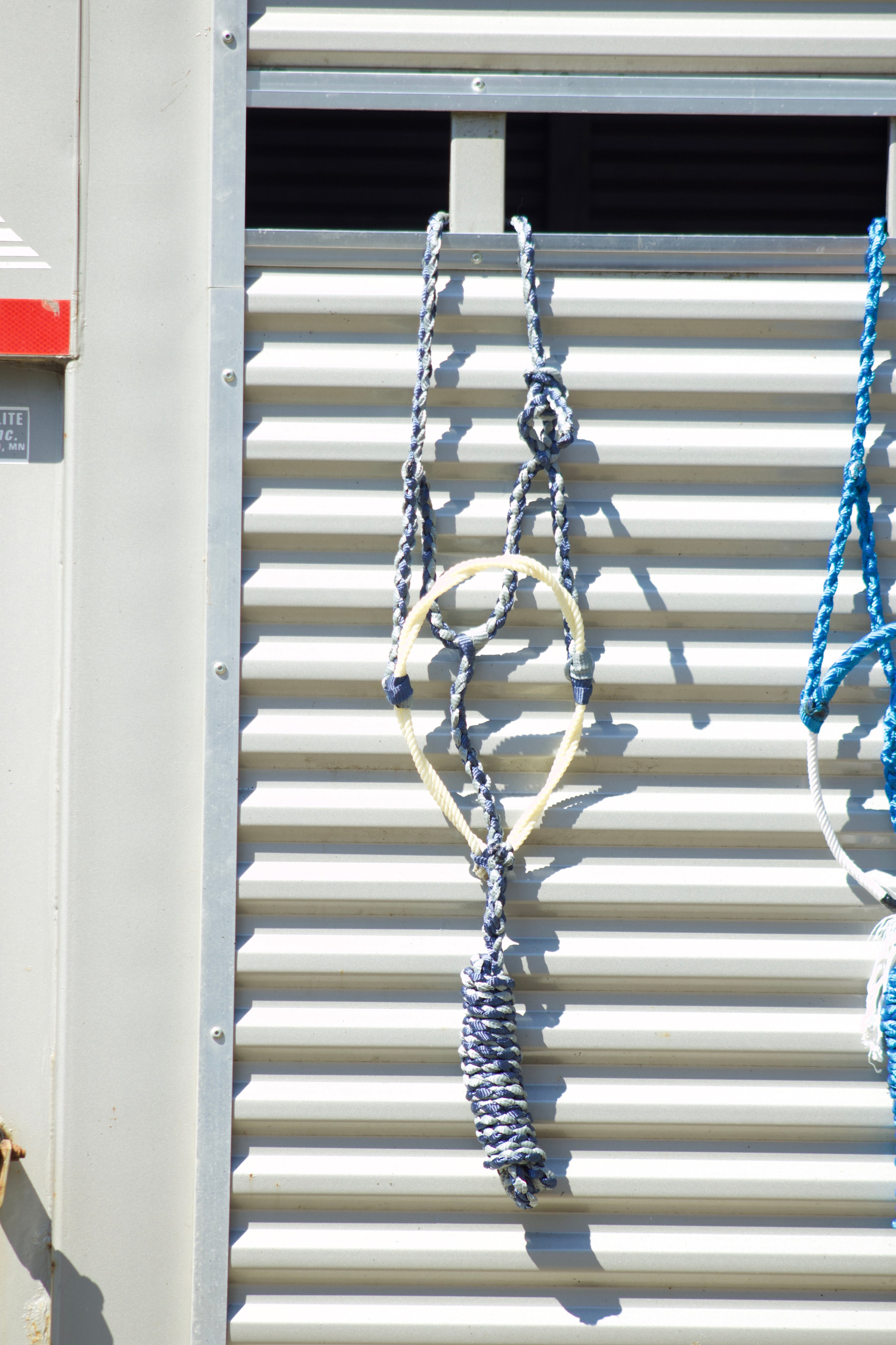 Twisted Lariat Nose band halter